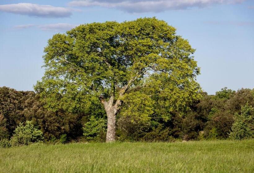 فندق Hôtel Mas De Baumes