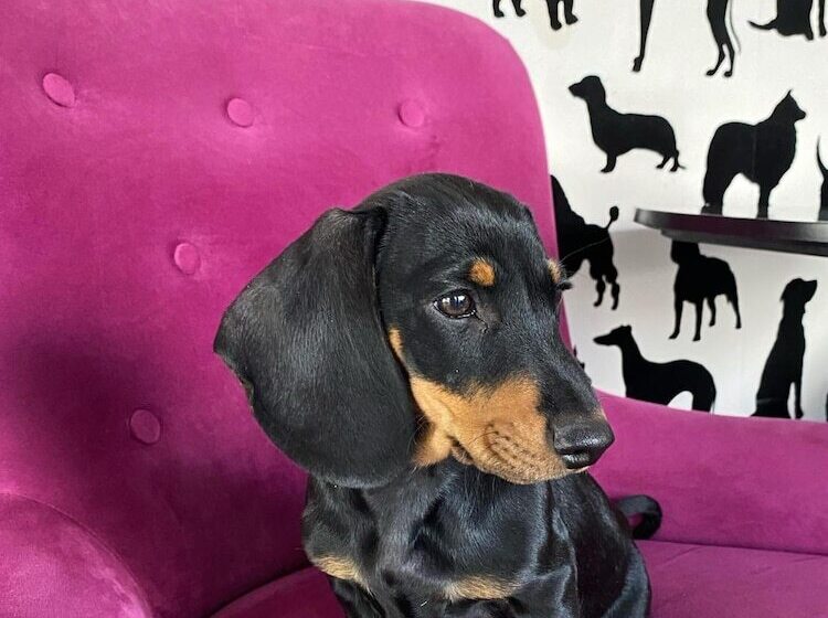 Huskvarna Stadshotell