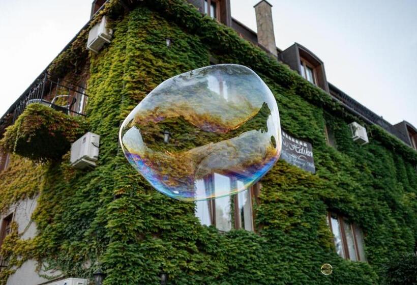 酒店 Kis Helikon Villa