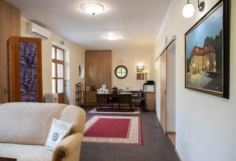 酒店 Kis Helikon Villa