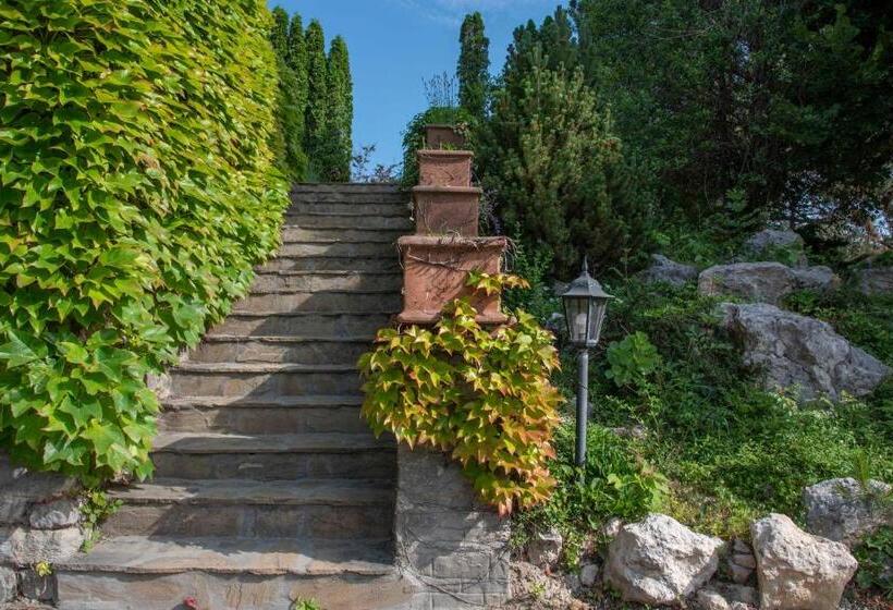 酒店 Kis Helikon Villa