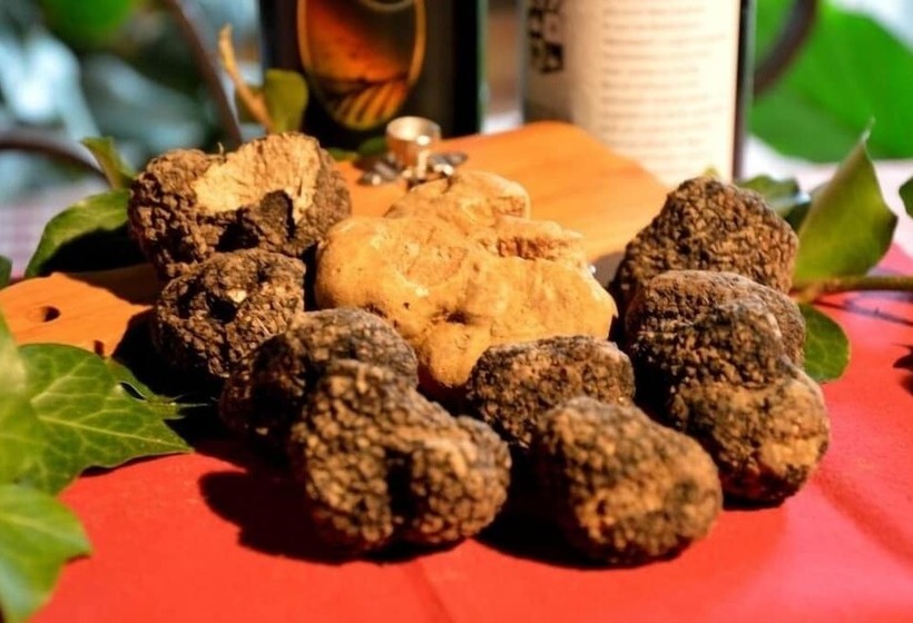 호텔 La Corte Del Barbio