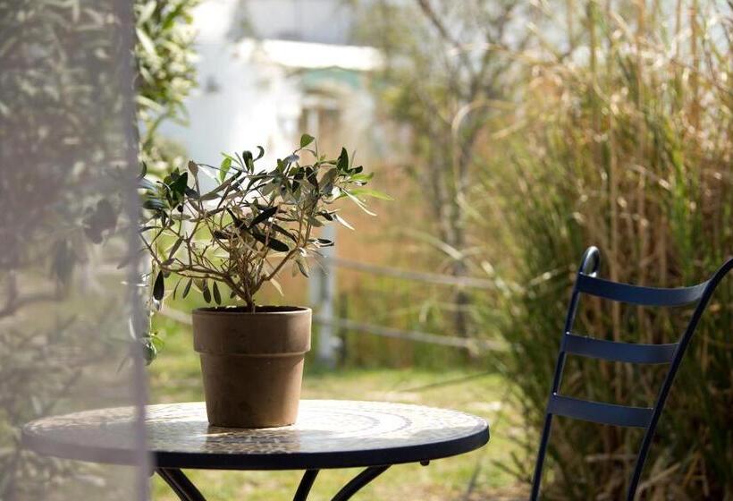 בית מלון כפרי La Tramontane