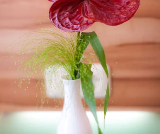 酒店 Landgasthof Am Sonnenhang