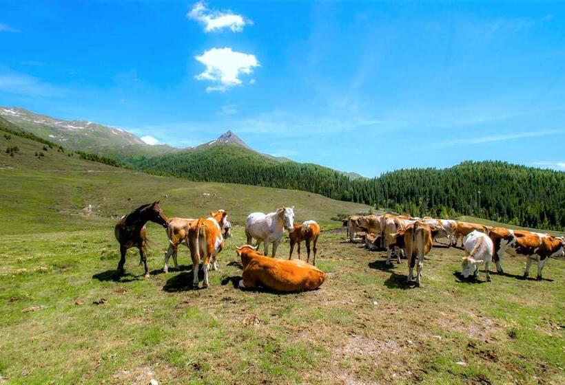 Le Blanc Hotel & Spa