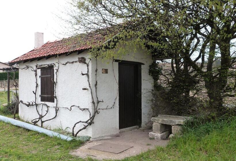 Logis Hotel Des Grands Vins