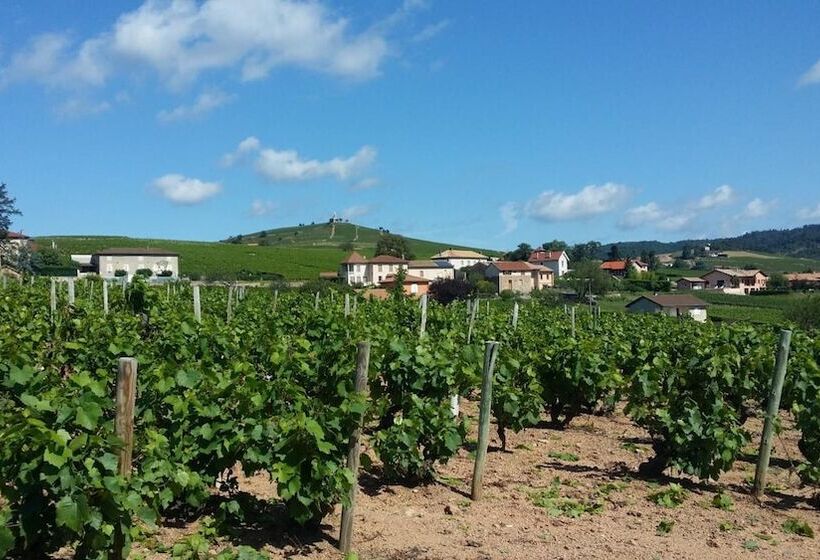 Logis Hotel Des Grands Vins