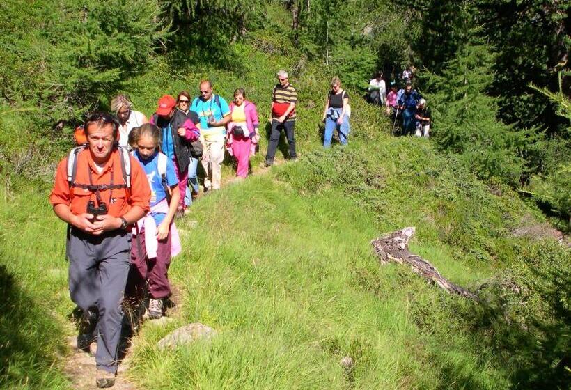 هتل Paradise Lodge