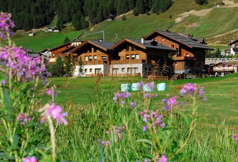 هتل Paradise Lodge