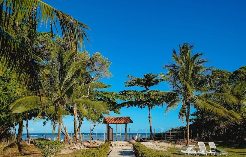 Отель Pousada Caeira