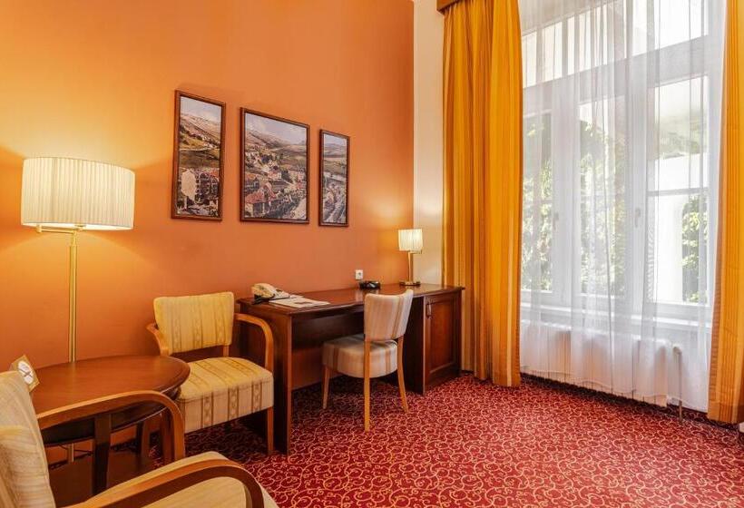 酒店 Radium Palace