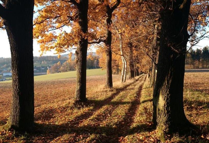 בית מלון כפרי Ratskeller Thum