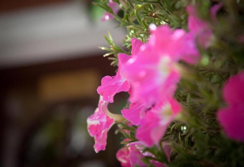 בית מלון כפרי Ratskeller Thum