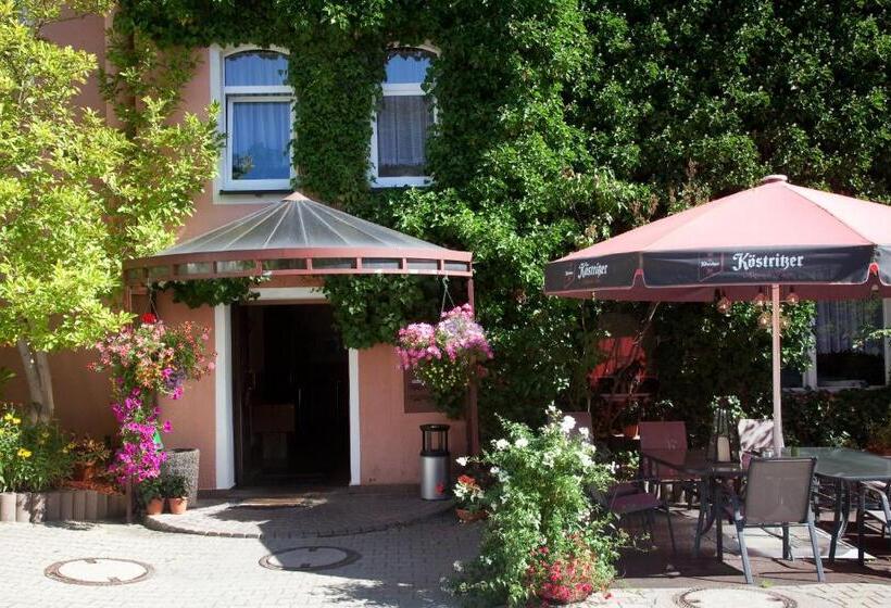 בית מלון כפרי Ratskeller Thum