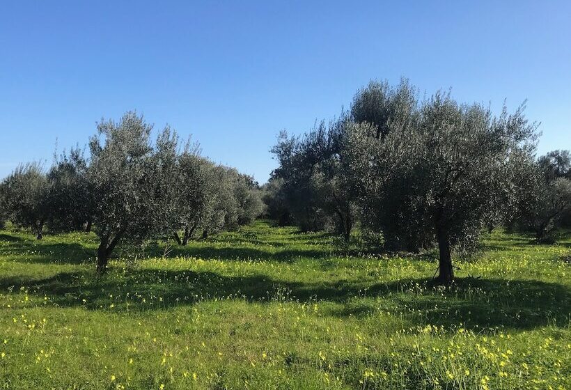 Отель Resort Park Village