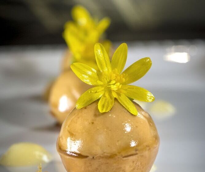 فندق Hôtel Restaurant Les 2 Rives   Logis Hôtels