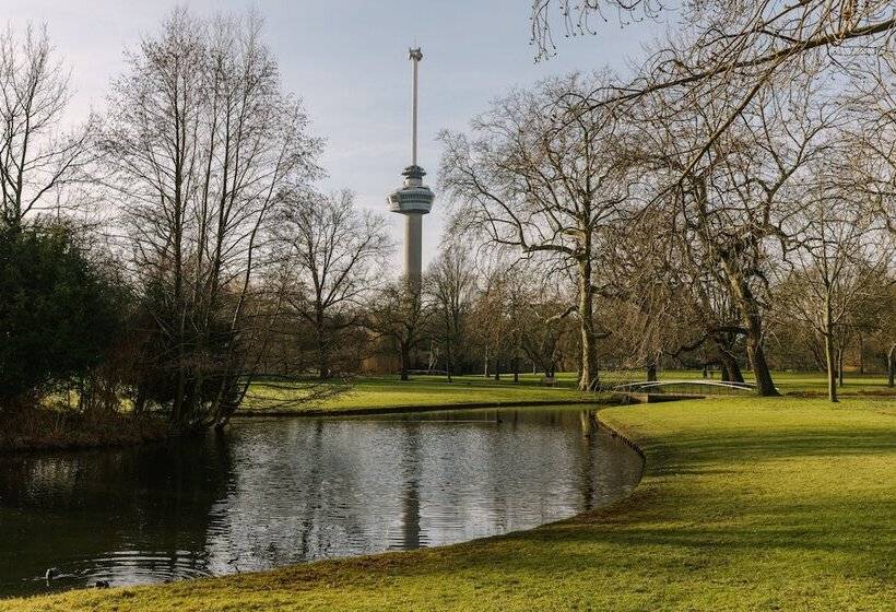 בית מלון כפרי Sonder Rose