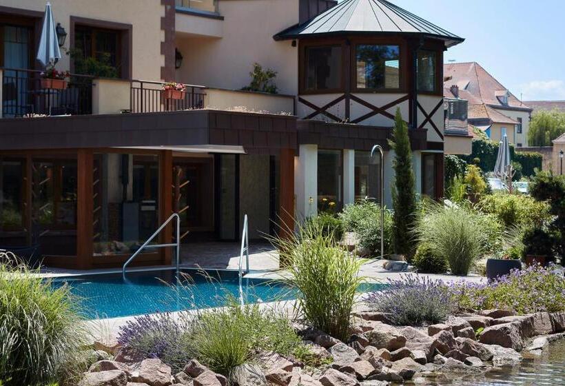 ホテル Spa Restaurant Domaine Du Moulin