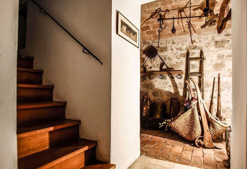 בית מלון כפרי Terre Brune