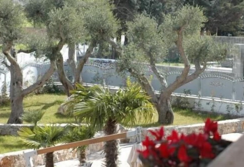 Отель Tesoretto