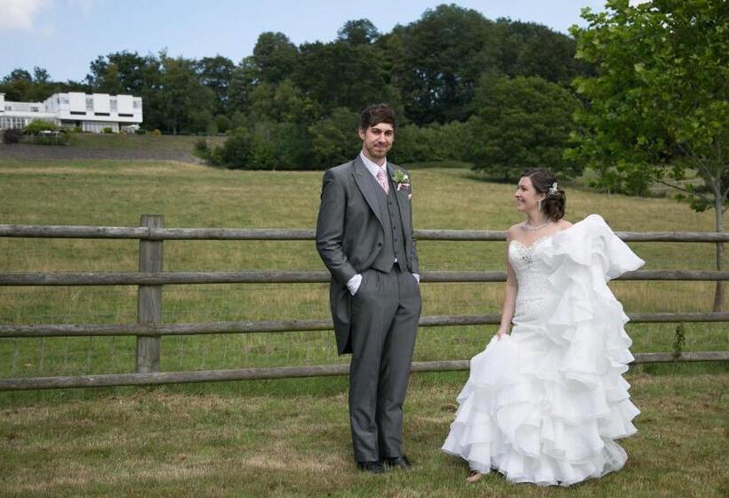 Отель The Manor