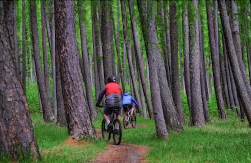 호텔 The St James Premium Accommodation