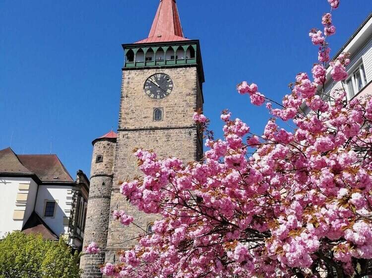 בית מלון כפרי U Krále