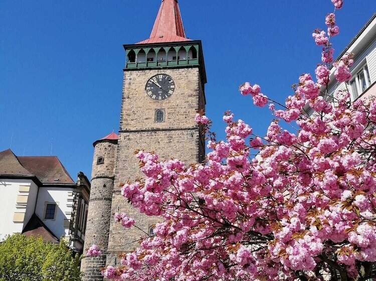 בית מלון כפרי U Krále