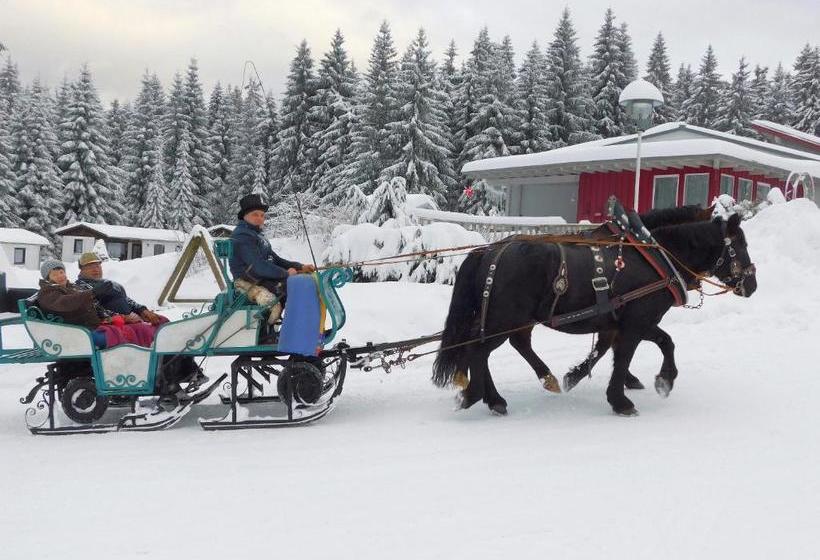 Waldhotel Rennsteighöhe