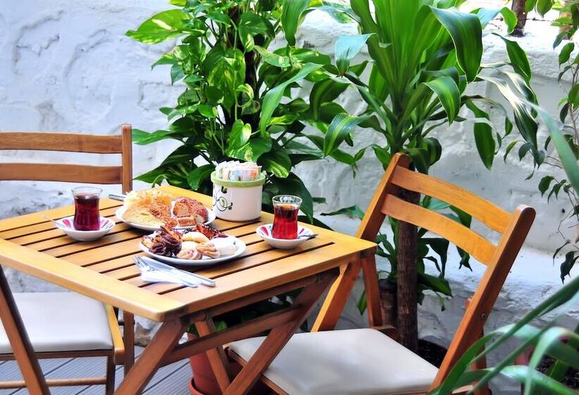 Отель Yeniceri City