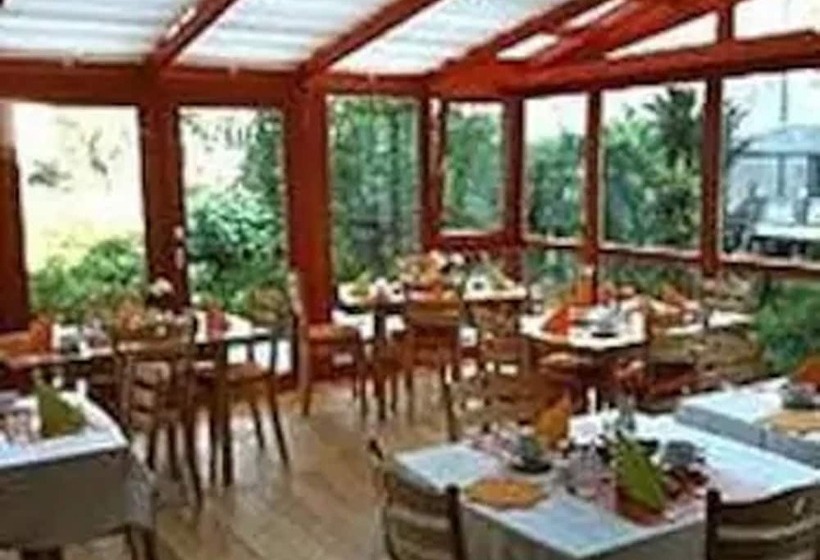 酒店 Zur Alten Stadtmauer