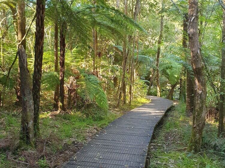 فندق على الطريق Kerikeri Park Lodge