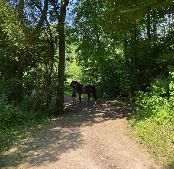 فندق على الطريق K 357   Low Budget Hotel   Ostsee Lounge   In Ratekau Bei Lübeck