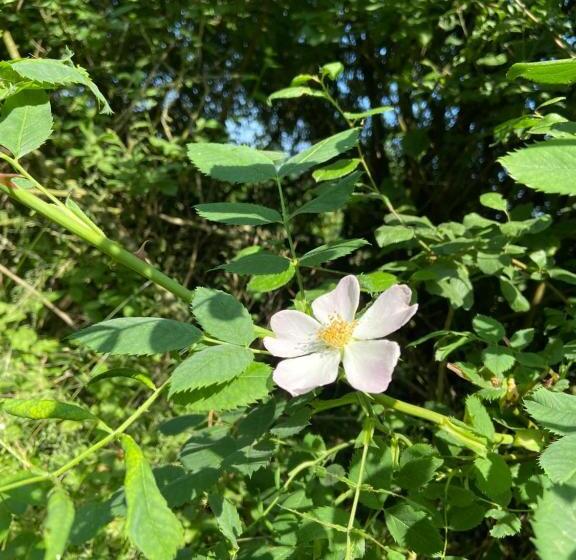 فندق على الطريق K 357   Low Budget Hotel   Ostsee Lounge   In Ratekau Bei Lübeck