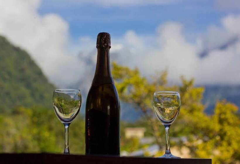 モーテル The Terrace