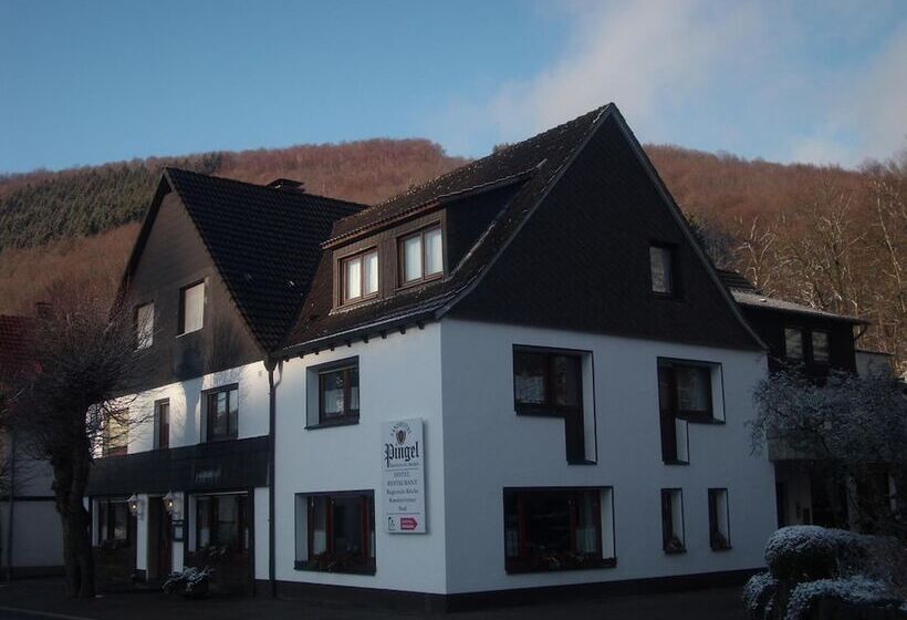 펜션 Landhotel Pingel