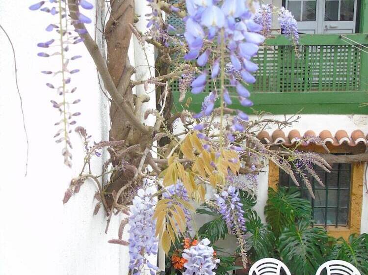 Пансион União   Guest House