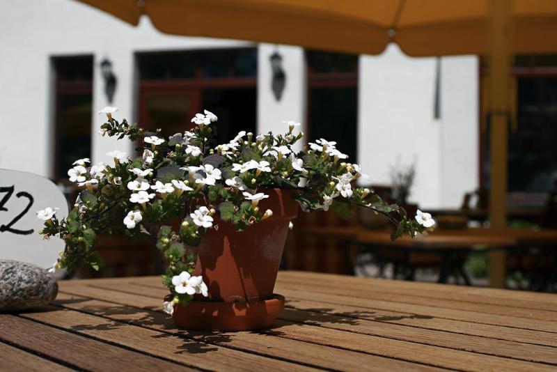 Ringhotel Warnemünder Hof