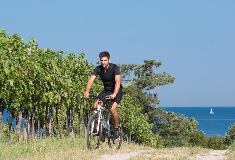 Villa Without Balcony   Hotel & Resort Adria Ankaran