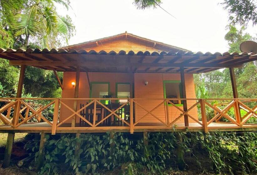 호스텔 Avalon Hotel Campestre