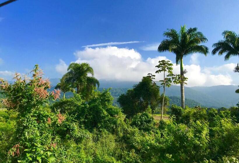 Общежитие Pousada Casa Do Mar