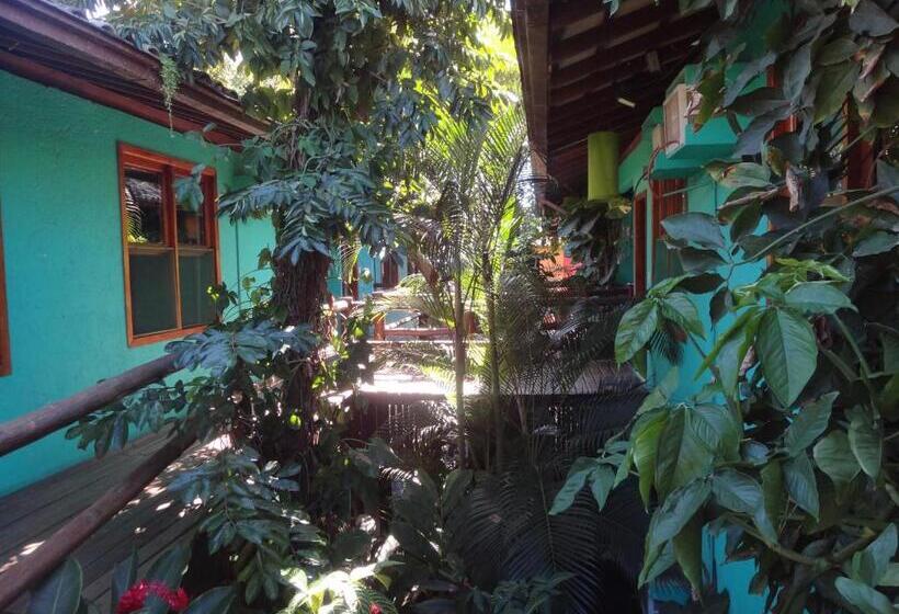 هاستل Pousada Maresia