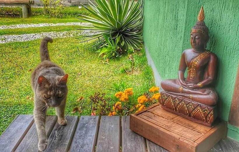 ユースホステル Pousada Morada Esperança