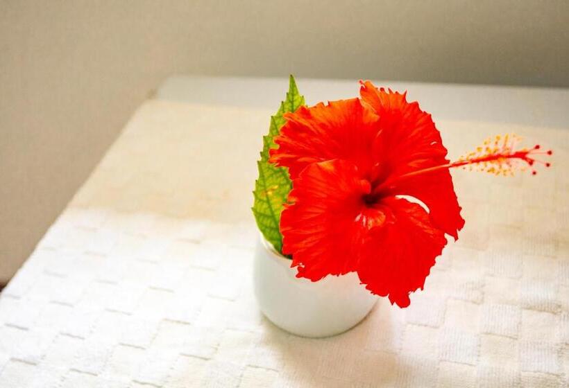 הוסטל Pousada Portal Do Morro