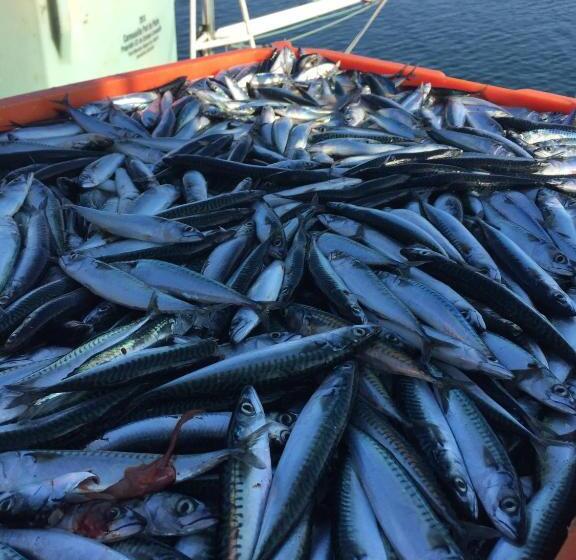 Appartement Design Iii Port Du Rosmeur Douarnenez