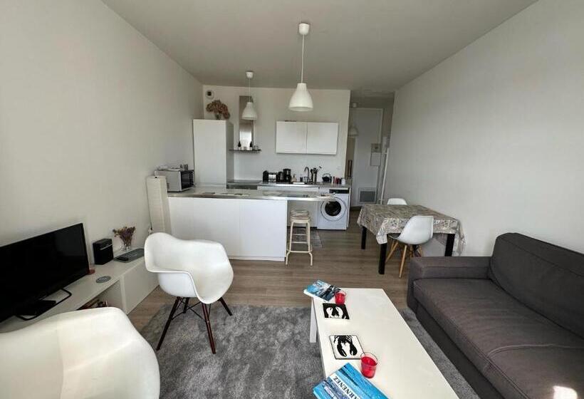 Appartement Design Iii Port Du Rosmeur Douarnenez