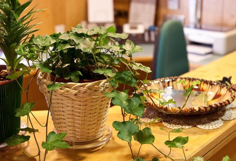 Appartments Helvetia