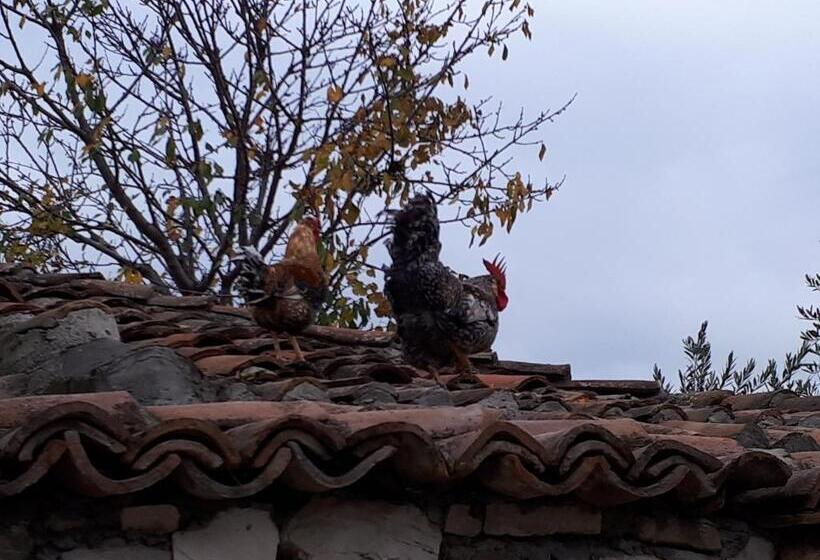 צימר Omer The Ottoman House