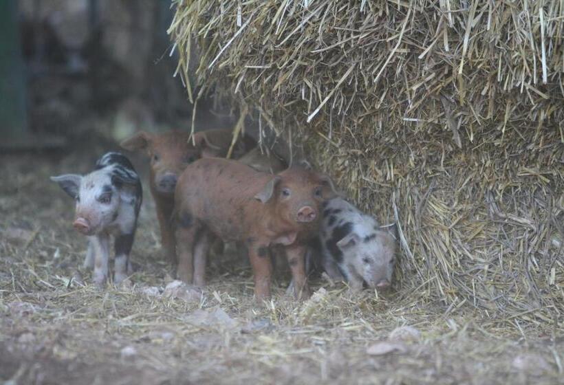 فندق Agriturismo Amicizia