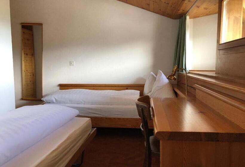 호텔 Arena Guesthouse